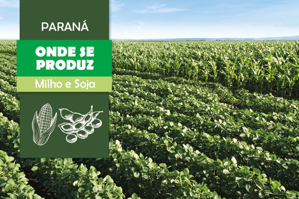 O setor passou a contar com um estudo detalhado de onde e como ocorrem as principais culturas e atividades pecuárias em nosso território