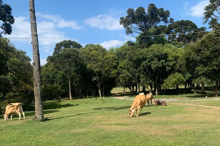 O bom desempenho da propriedade já garantiu até mesmo a sucessão familiar