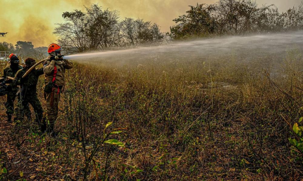 “As chamas, hoje, já estão bem mais reduzidas, devido às chuvas dos últimos dias. Só que essas chuvas são extemporâneas [ocasionais]. A temperatura já voltou a subir e tememos que os focos [de incêndios] ressurjam”, declarou a secretária à Agência Brasil.