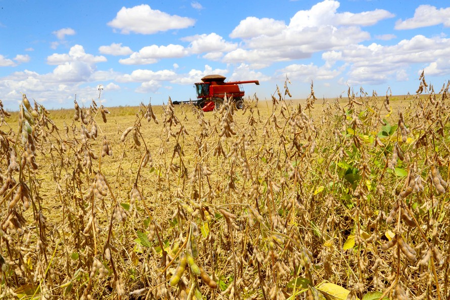  O Paraná começa a plantar a safra de grãos de verão 2020/21 mas a continuidade do clima seco é a maior preocupação dos produtores