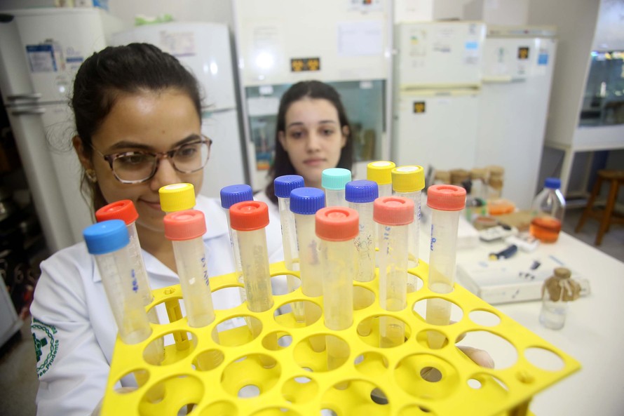 Instituições devem seguir normas de segurança
