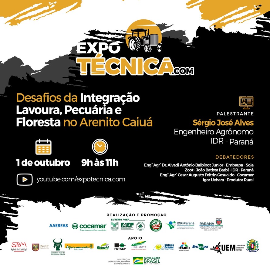 Uma área abrangida por 107 municípios é conhecida pelo solo arenito caiuá, que exige cuidados especiais, visto ser extremamente arenoso, com baixos teores de matéria orgânica e pequena capacidade de retenção de águas