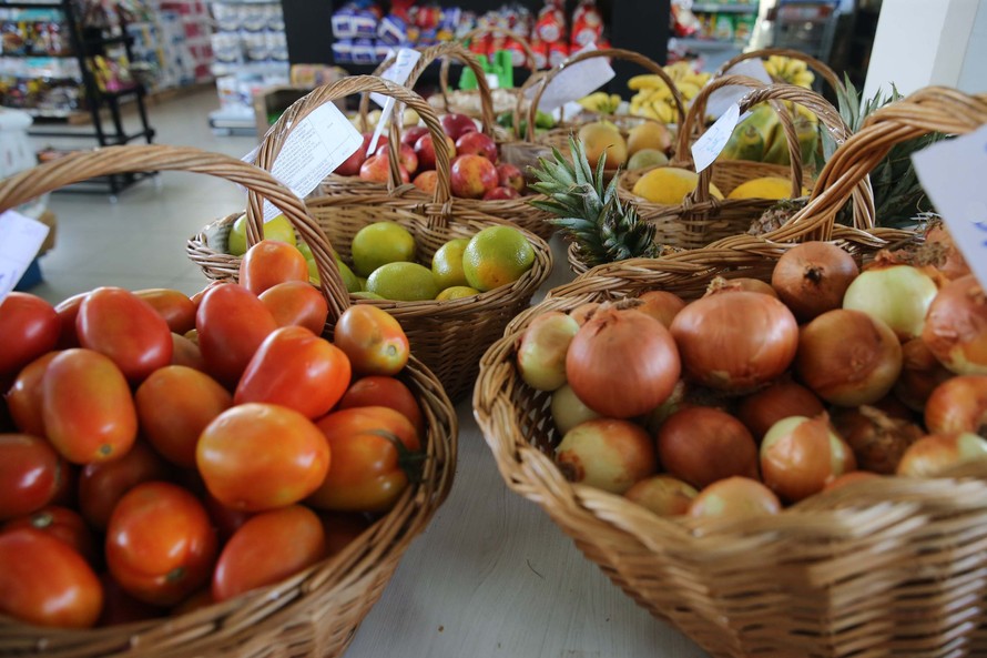 O tema desse ano é “Cultivar, Alimentar, Preservar. Juntos. As nossas Ações são o nosso Futuro”