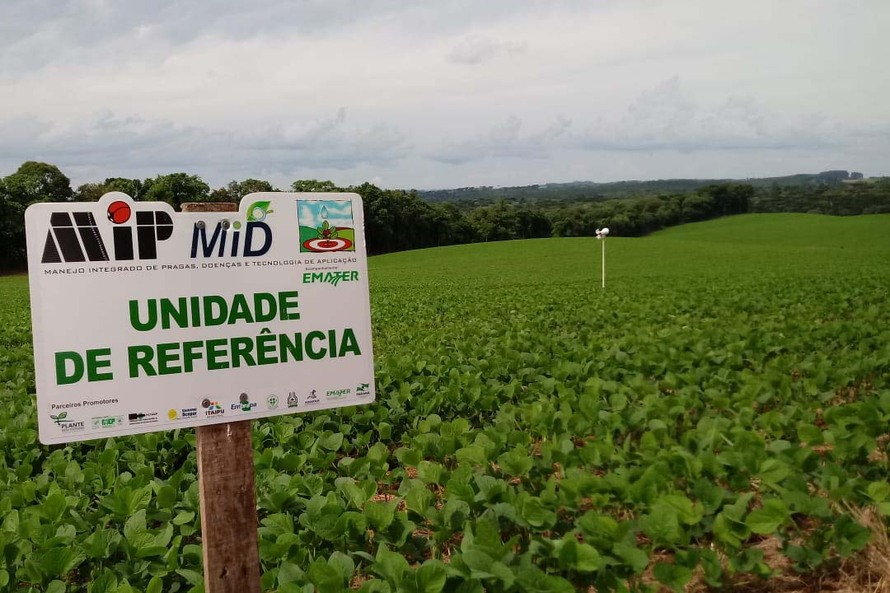 “É mais uma ferramenta para agricultores e técnicos acompanharem o monitoramento”, afirma Possamai.