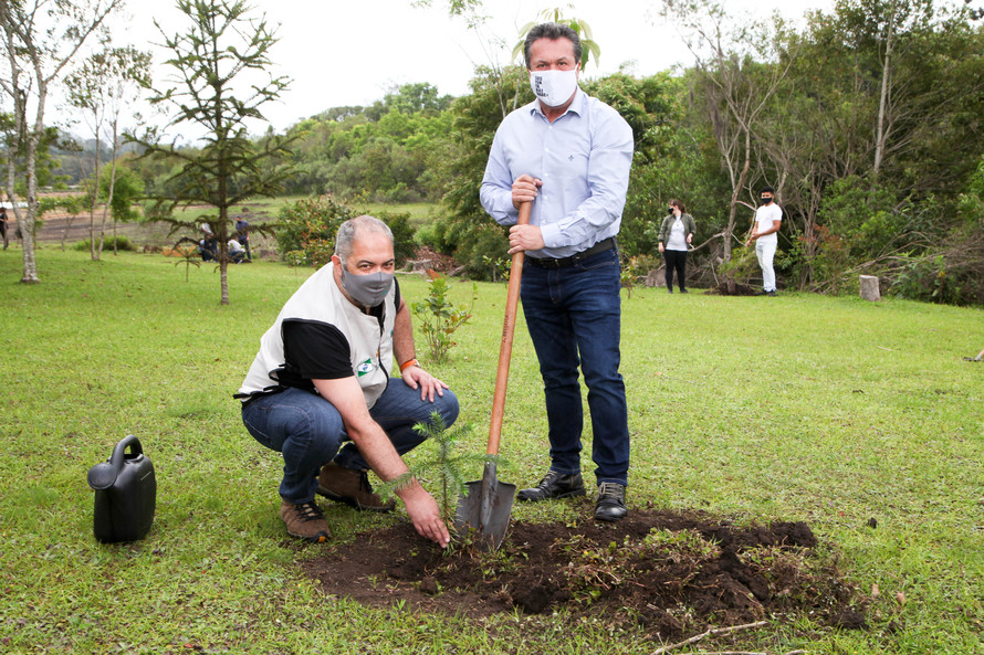 Iniciativa é do Governo do Estado e faz parte do programa Paraná mais Verde