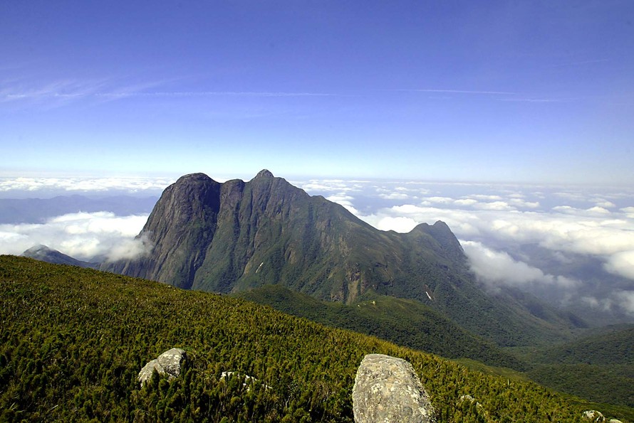 O investimento segue a linha de medidas compensatórias para empreendimentos realizados em áreas de preservação natural que geram impacto ambiental significativo.
