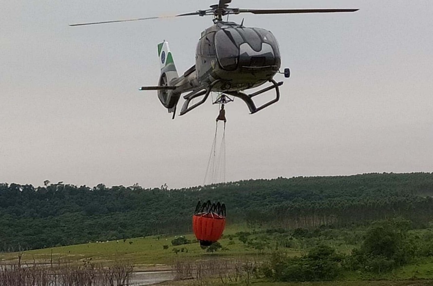 A área de mais de 240 hectares de mata nativa preservada na Ilha Grande estava ameaçada pelo fogo que se espalhava rapidamente com o tempo seco e o vento - condições que tornavam o trabalho de combate às chamas bastante perigoso.