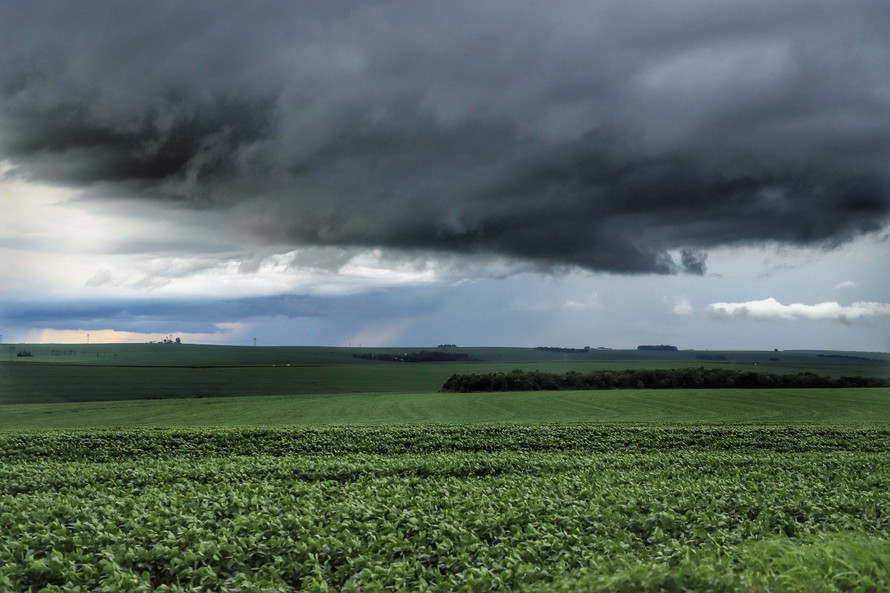 A safra de grãos de verão da temporada 2020/21 está em andamento e pode ser afetada pelo excesso de chuvas que está ocorrendo neste mês de janeiro. De acordo com a Secretaria de Estado da Agricultura e Abastecimento, por enquanto a expectativa de produção