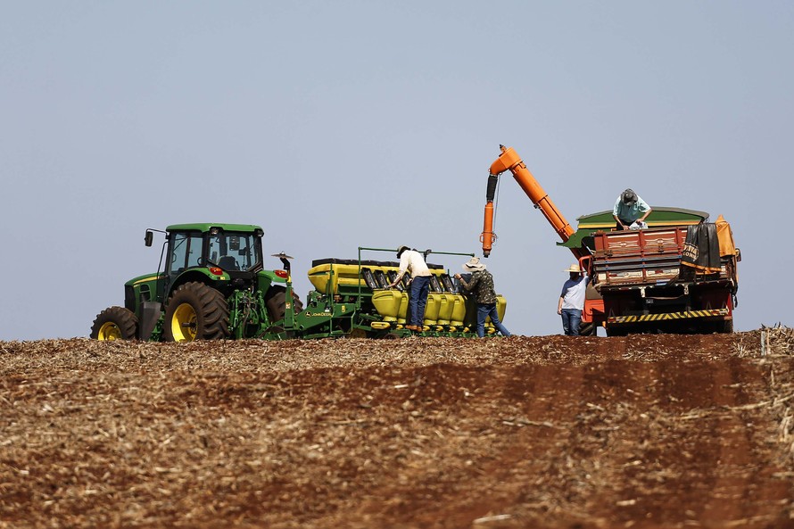  No mês passado, aproximadamente 79% da área de 359 mil hectares apresentavam condições boas. Agora, baixou para 71%
