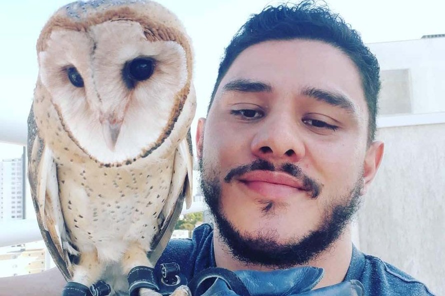 O tutor da coruja fujona, chamada Raja, é Alisson Londregue. Ele é dono do animal faz três meses, no qual possuiu com apenas 30 dias de vida