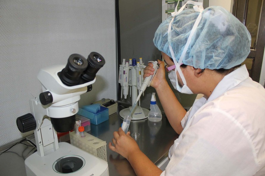 Objetivo é contribuir para a compreensão dos mecanismos genéticos que regulam essa infecção, auxiliando nas decisões médicas e nas condutas terapêuticas mais apropriadas