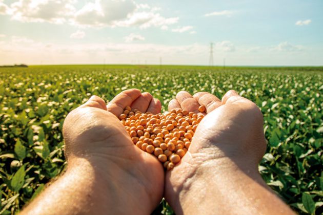 “Reservar sementes para uso próprio é um direito, porém o agricultor precisa cumprir alguns requisitos”, ponderou.