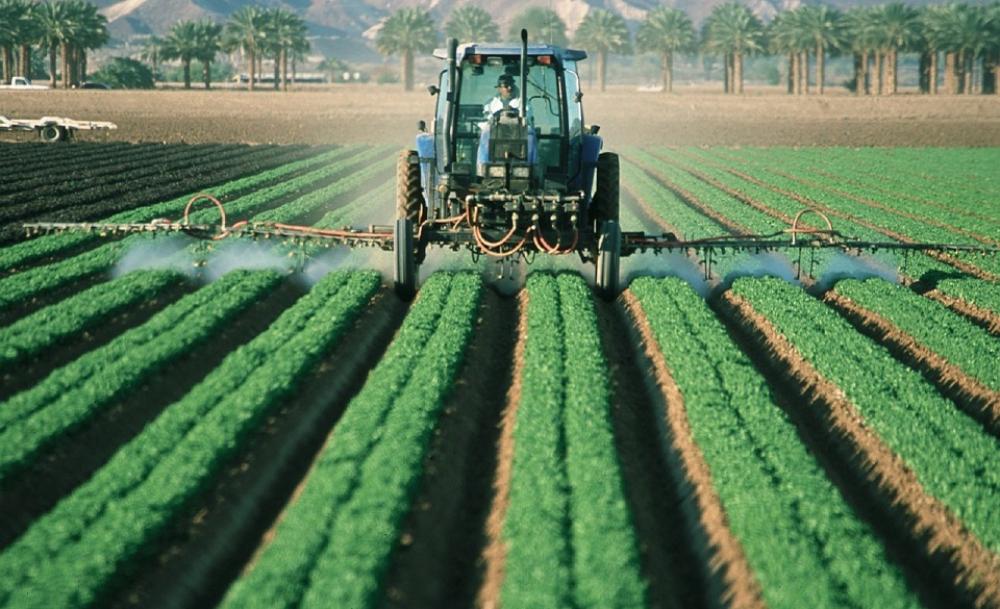 'As cooperativas agropecuárias foram sábias e perceberam os ganhos que as de crédito tiveram ao investir em governança e gestão, obtendo um crescimento estratosférico', ressalta Pimentel.