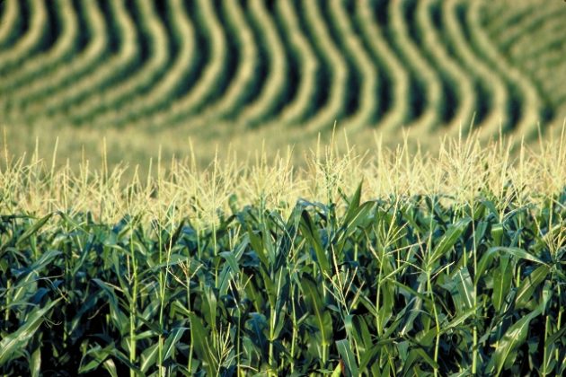 No dia 10 de março, o Mapa negou o pedido de prorrogação, com base na Nota Técnica n°4/2021, da Coordenação Geral de Risco Agropecuário, da Secretaria de Política Agrícola do Mapa.