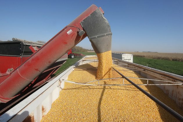 No caso do Paraná, além de técnicos da própria entidade, os informantes são, principalmente, o Deral e cooperativas agrícolas.
