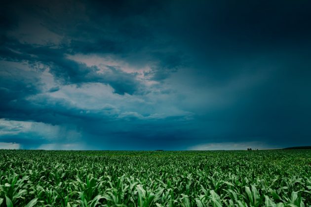 'Podemos ter um ou outro veranico na safrinha de milho', observa o especialista, referindo-se a períodos isolados de calor.