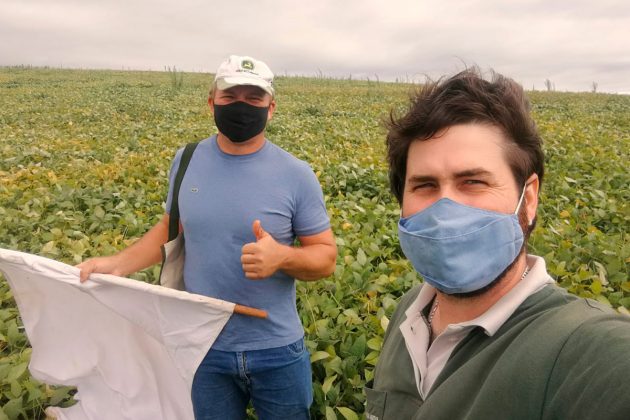 Ao todo, somando a área das propriedades, foram 310 hectares de soja que, ao fim do ciclo 2020/21, não tiveram uso de inseticida.