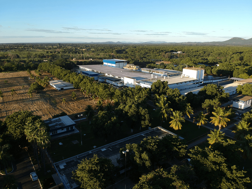 'São centenas de veterinários e zootecnistas a campo, trabalhando para mostrar aos produtores que eles podem ir além em termos de eficiência. E que isso é bom não apenas para eles, mas para a pecuária do Brasil'.