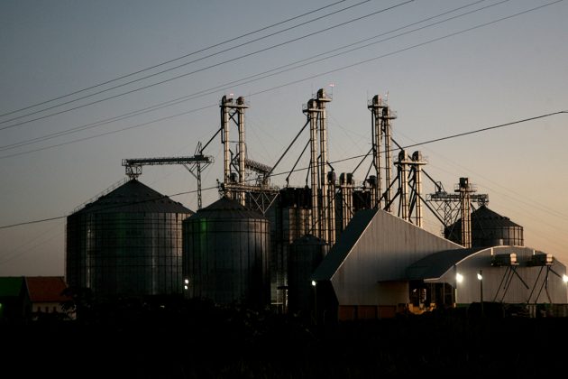 'A chave do mercado internacional é essa safra norte-americana, mas depende do clima. Só que agora há uma tensão maior porque os estoques norte-americanos já estão muito baixos', observa Molinari.