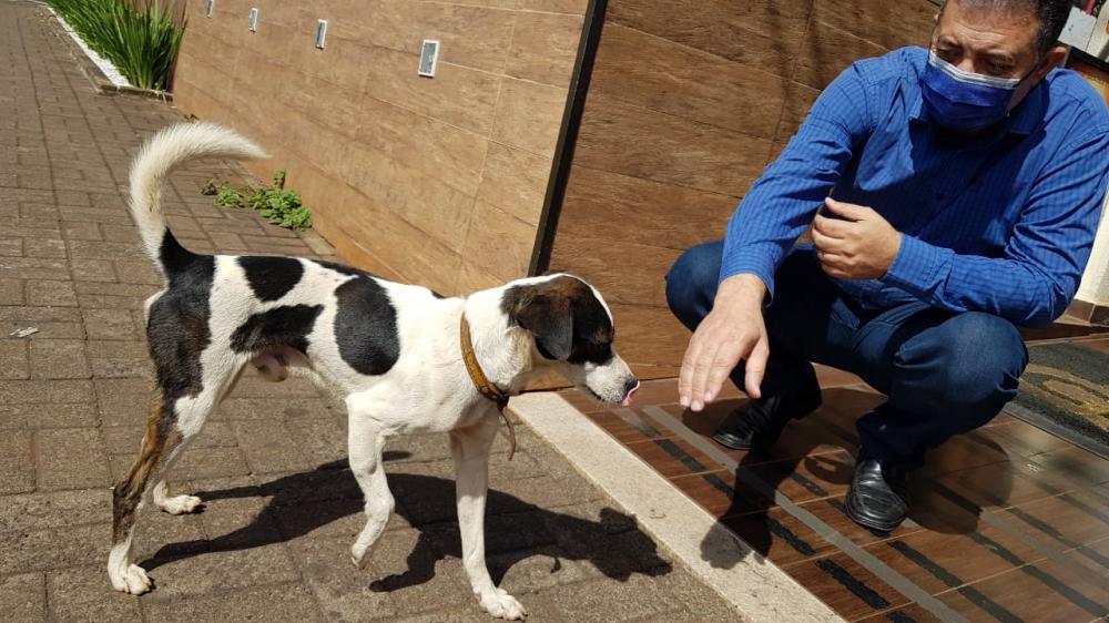“Tenho buscado recursos, junto ao Governo do Estado, para que o Paraná tenha o maior programa de castração de animais abandonados do Brasil!