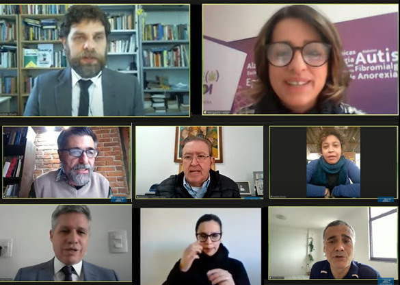 Cannabis Medicinal – Saúde, Política e Mercado da Maconha no Brasil foi o tema de debate proposto pelo deputado Goura (PDT).. Créditos: Reprodução Zoom.
