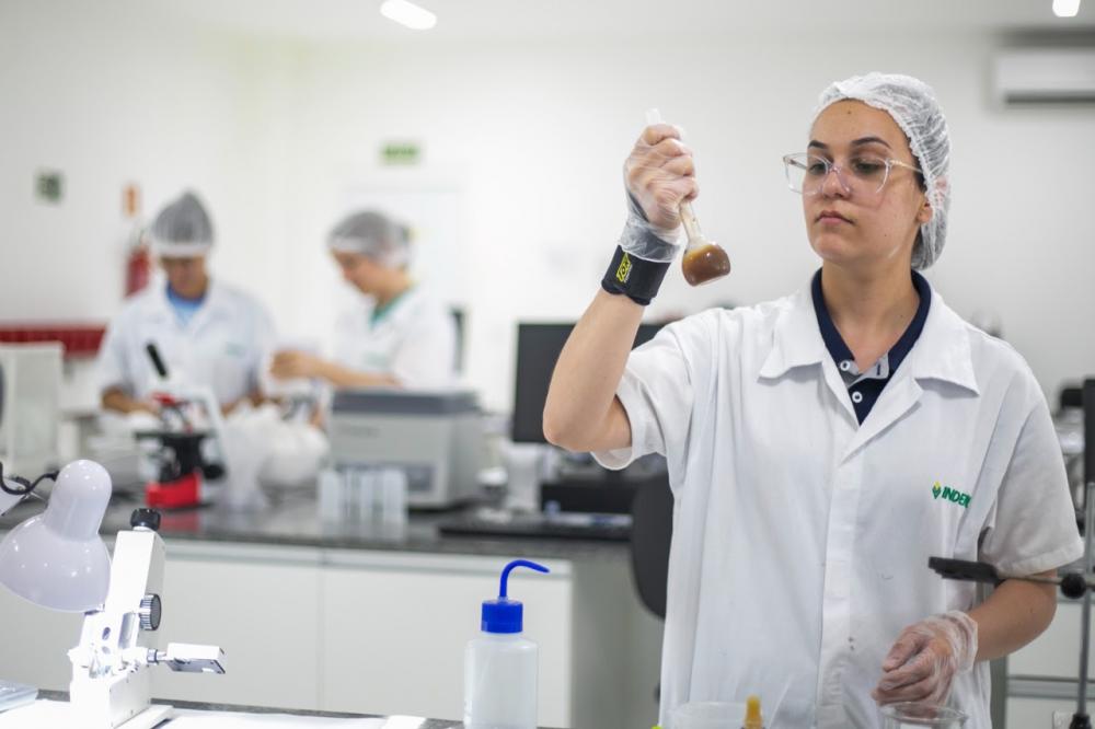 imagens de divulgação 