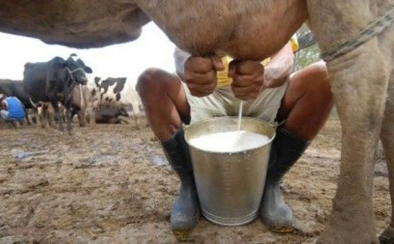 imagens EMBRAPA 