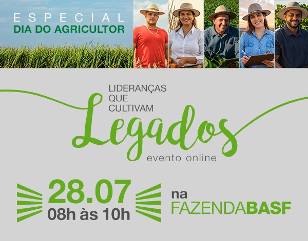 divulgação