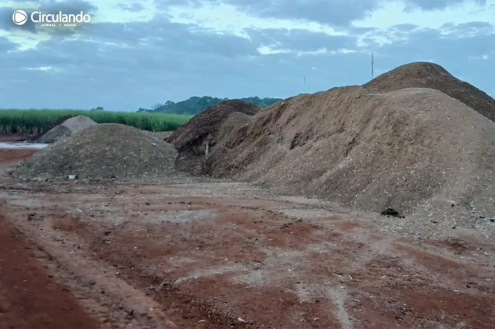 Imagens revelam que o local funciona como um depósito de adubo orgânico - Foto: Divulgação. 