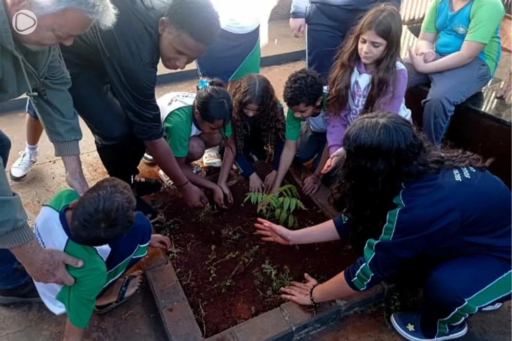 Alunos da Escola Municipal Caetano Vezozzo participam de ação na semana do Meio Ambiente - Foto: Da Secretaria de Agricultura de Cambará/Especial para REDE CIRCULANDO 