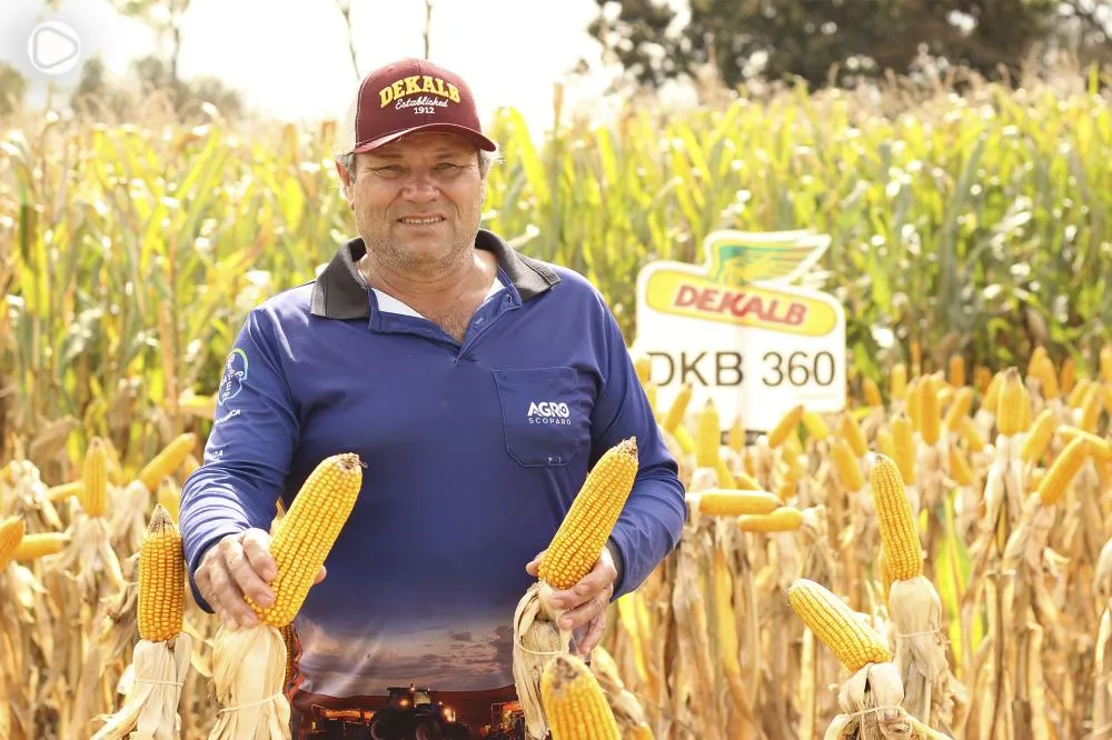 No campo, a decisão começa antes da semeadura