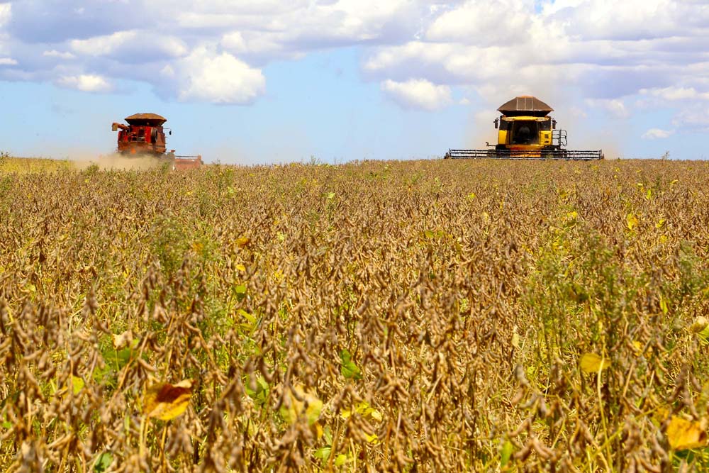 Esse volume é 14% superior ao da safra 18/19, quando foram produzidas 36,2 milhões de toneladas