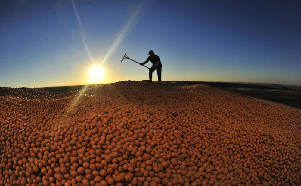 Enquanto o restante do país para diante do risco de uma contaminação em massa, o campo segue trabalhando e produzindoEnquanto o restante do país para diante do risco de uma contaminação em massa, o campo segue trabalhando e produzindo