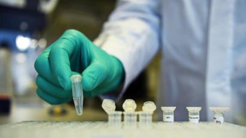 “A importância dos anticorpos foi provada no mundo da medicina há décadas”, afirmou Zhang