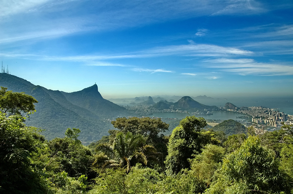 Nesse sentido, a preservação e recuperação dos remanescentes dessa vegetação são essenciais para a sustentabilidade econômica do país