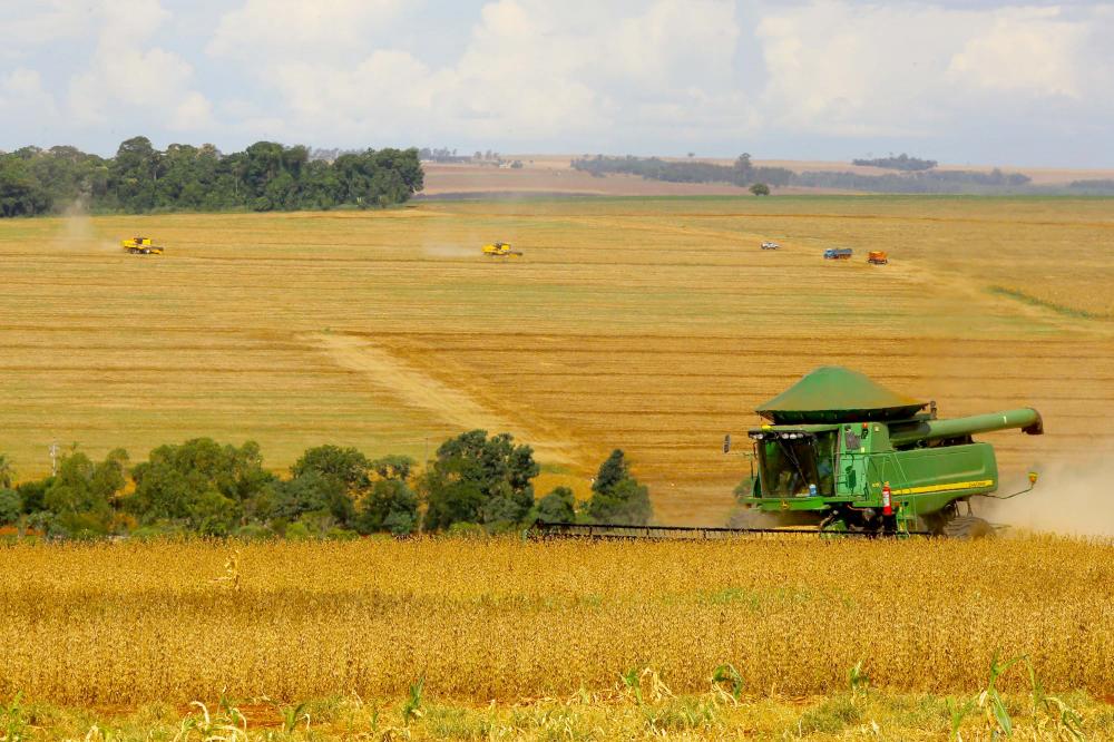 Relatório da Secretaria da Agricultura comprova uma safra de soja recorde no Estado, próxima a 20,7 milhões de toneladas