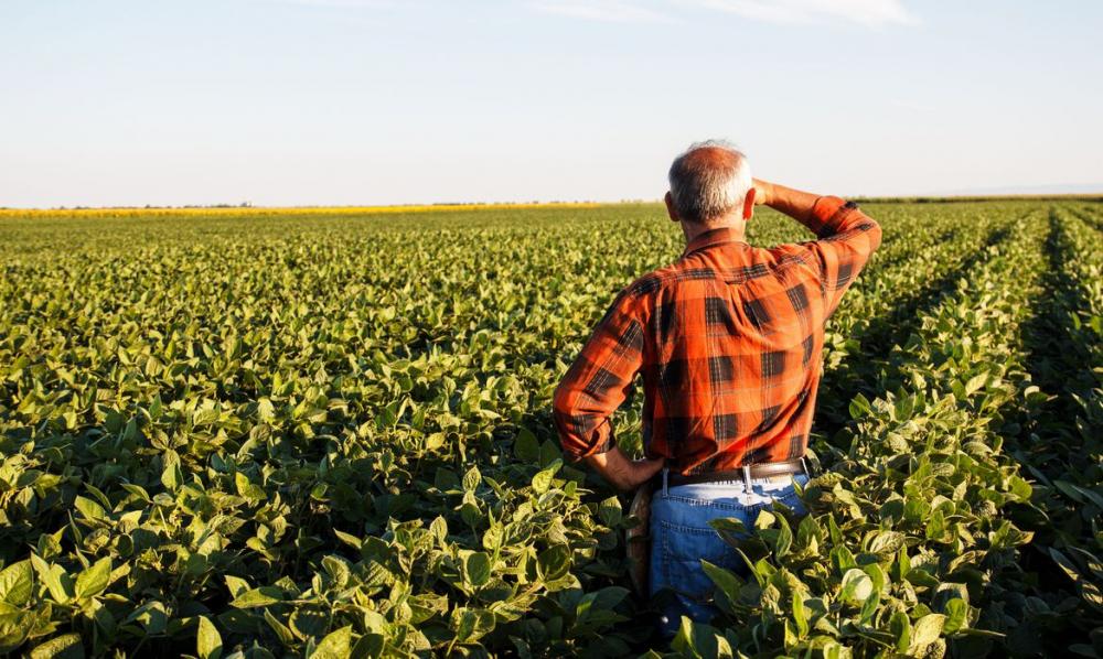 “Se os ativos não serem vendidos, ocorre a íntegra [repasse] dos bens aos produtores para que eles determinem o que se fazer para saldar a dívida. Essa possibilidade foi colocada pelos próprios produtores, em assembleia”, explica Stasiak.