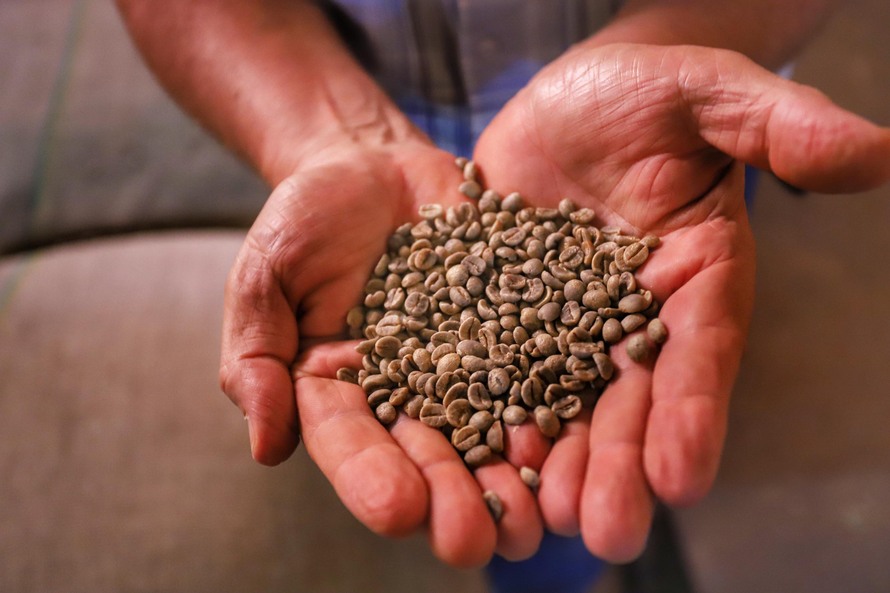  “O agronegócio não para, e o concurso é um forte estimulo para continuar melhorando a qualidade da produção”, diz o gerente da Câmara Setorial do Café do Paraná, Francisco Barbosa Lima