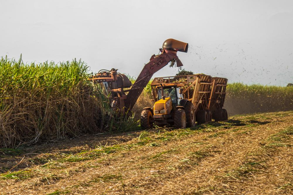 Um dos gargalos apontados pelo diagnóstico é fazer com que a tecnologia embarcada no maquinário seja inteiramente aproveitada pelos operadores.