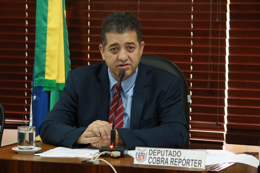 Comisso de defesa dos direitos da criana do adolescente do idoso e da pessoa com deficiência 