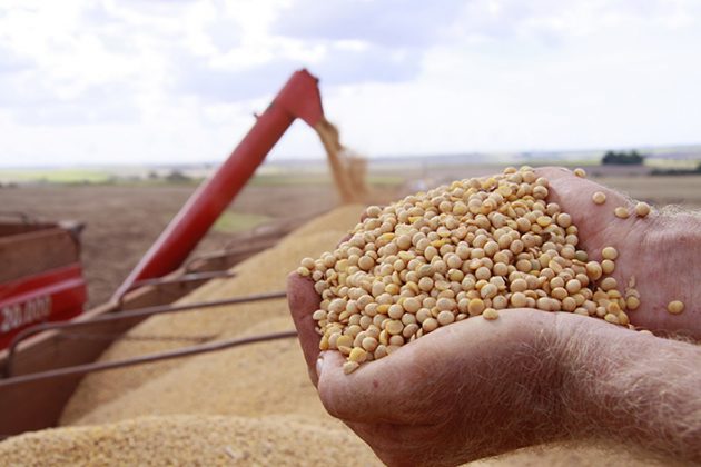 Isto representa um aumento de 4,8%, o equivalente a 11,6 milhões de toneladas sobre a produção da safra 2018/19