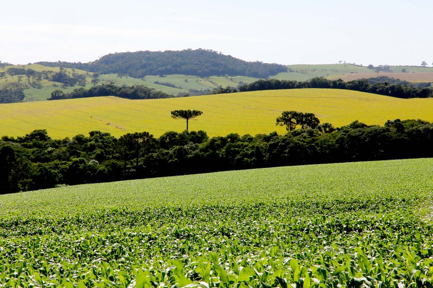 Levantamento foi feito em março/2020 pelo Deral, e pode ser usado como parâmetro na declaração do Imposto Territorial Rural (ITR)
